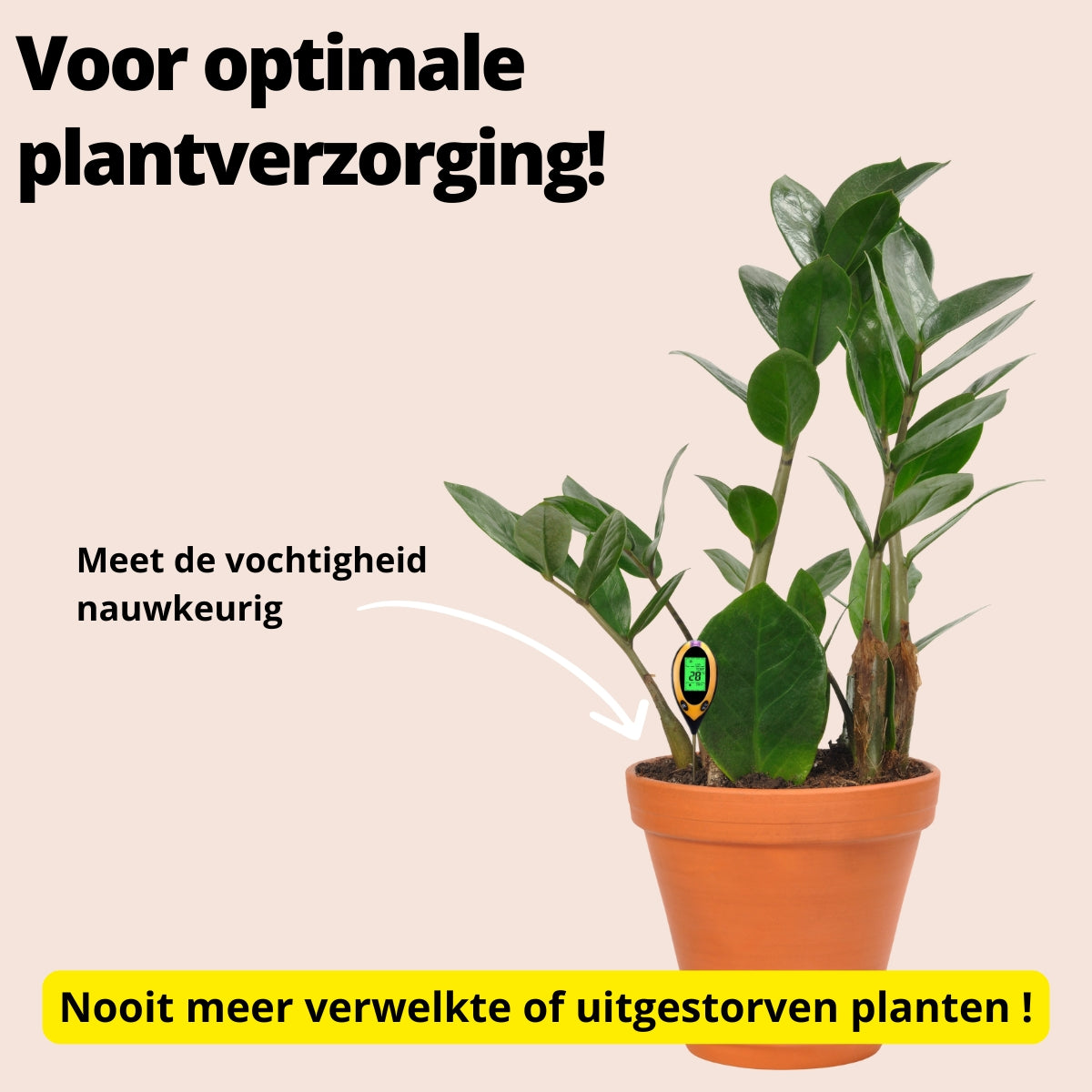 Voor optimale plantverzorging